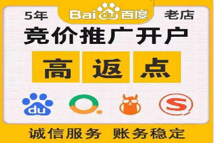 SEM竞价代运营实战技巧与案例